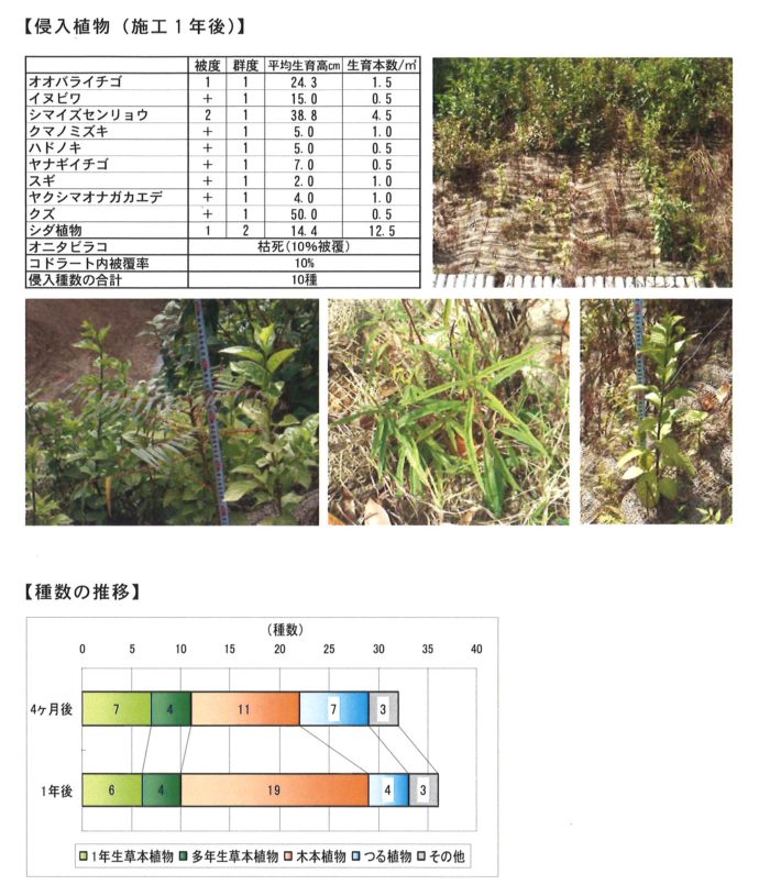 文字10pt 鹿児島_屋久島_L-1型_ﾌﾘｰ