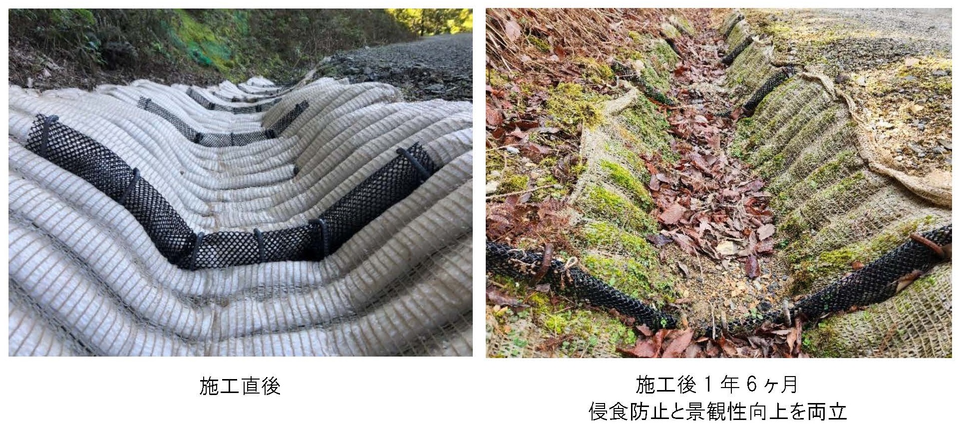 オーガニックフリューム 植生マット、植生シートの日新産業