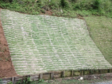 緑化基礎工用植生マット